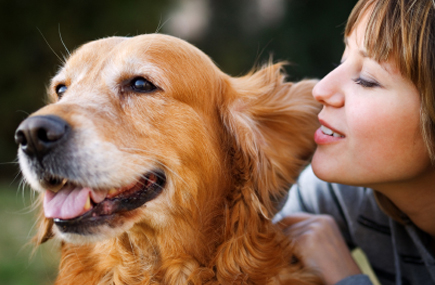 Want Loyal Customers? Treat Them Like Your Dog