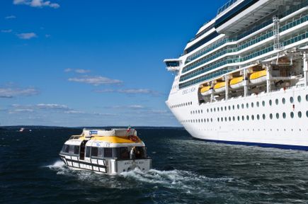 Tool Facilitates Bookings of Commissionable Shore Excursions