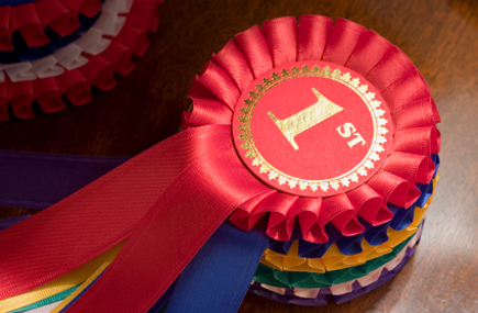Royal Caribbean, Southwest, Enterprise Named Top Brands