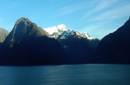 Cruise Lines Boost New Zealand Capacity as Interest Spikes