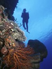 Travel Sellers Report: FIJI: In a League of its Own