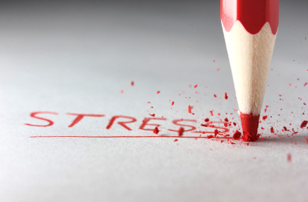 CWT Developing Tool for Reducing Traveler Stress